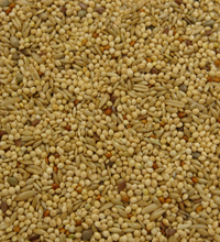 Colonel's Budgie Supreme Bird Seed