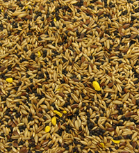 Colonel's Canary No. 2 Bird Seed