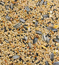 Colonels City Blend Wild Bird Seed
