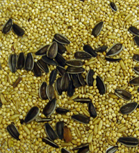 Colonel's Cockatiel Bird Food Mix