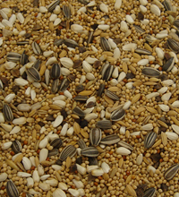 Colonel's Parakeet and Lovebird Bird Food Mix