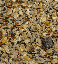 Colonels Summer Feast  Wild Bird Food